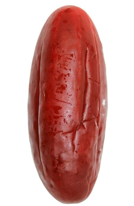 Dill-icious PICKLE Kits!